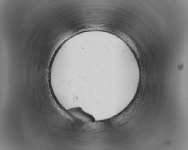 X0000096630805200803041103