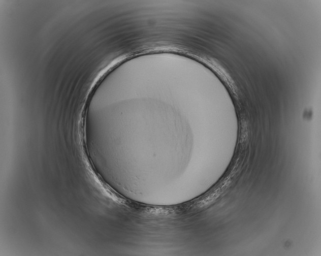 X0000096630806200803041103