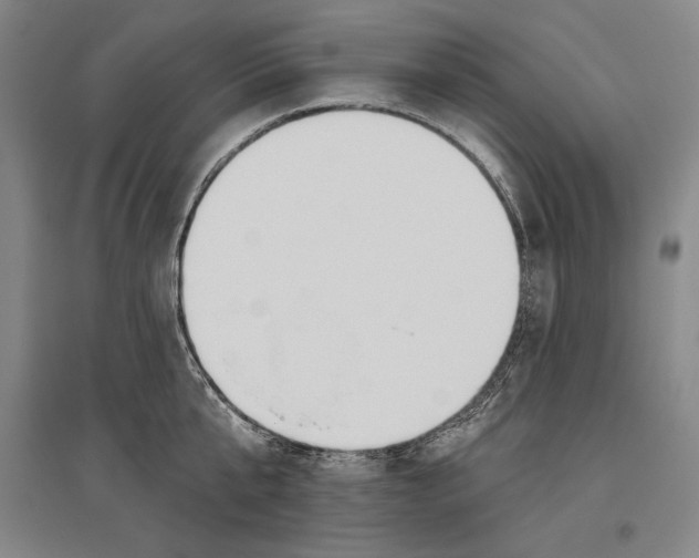 X0000096630807200803041103