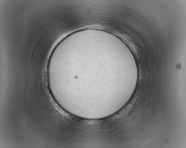 X0000096630808200803041103