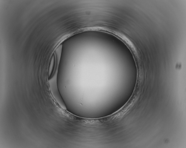 X0000096630809200803041103