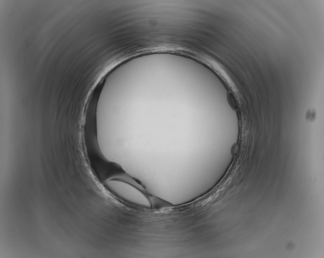 X0000096630810200803041103