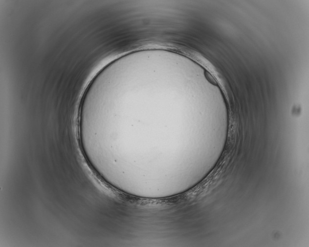X0000096630811200803041103