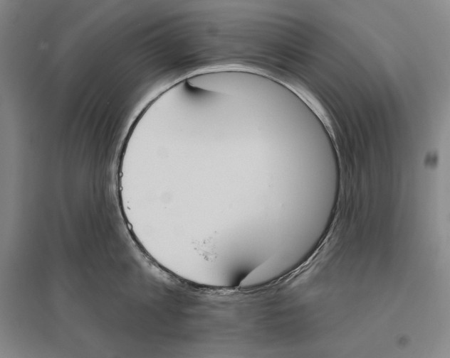 X0000096630813200803041103