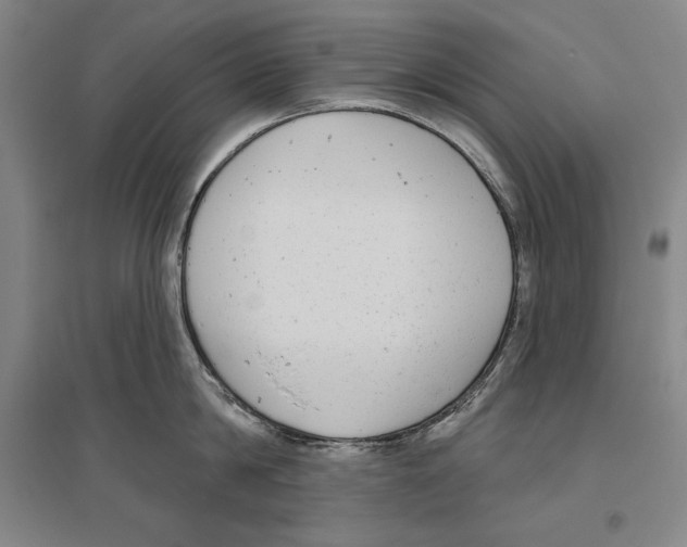 X0000096630814200803041103