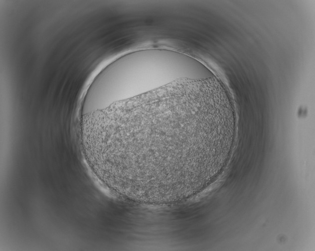 X0000096630816200803041103