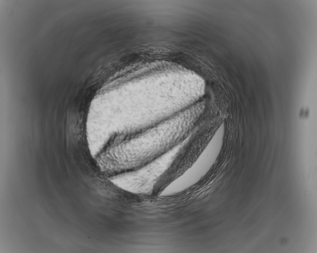 X0000096630818200803041102