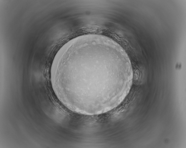 X0000096630820200803041102
