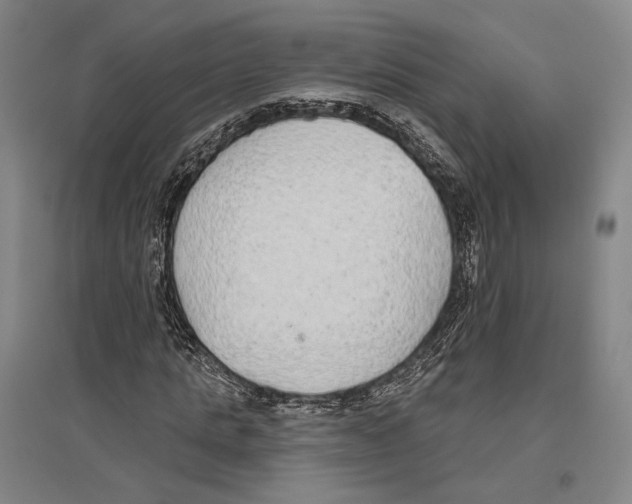 X0000096630821200803041102