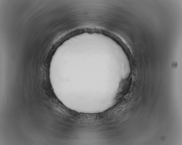 X0000096630823200803041102