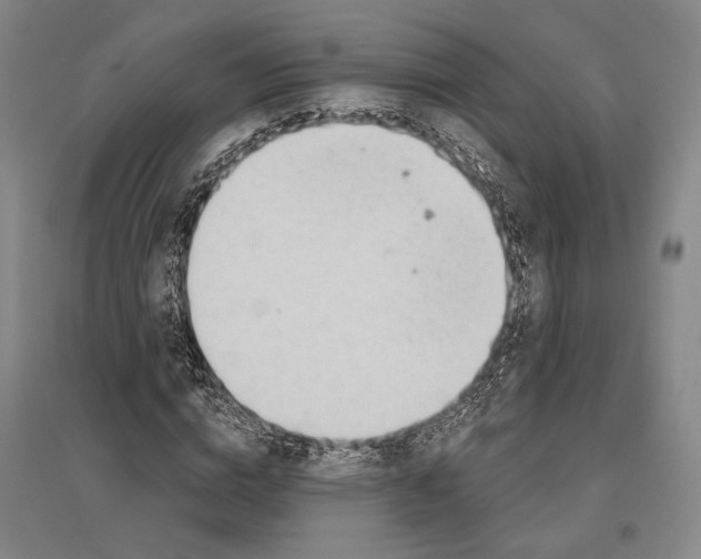 X0000096630824200803041102