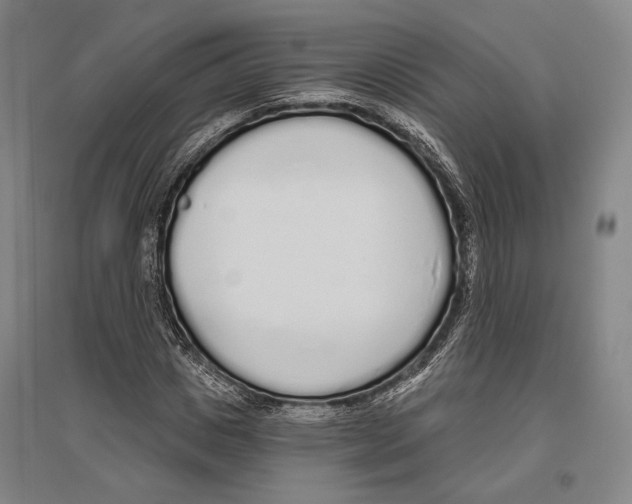 X0000096630825200803041102