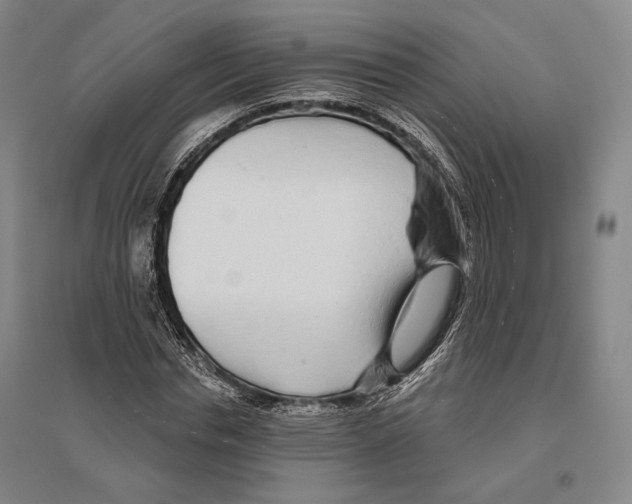 X0000096630826200803041102