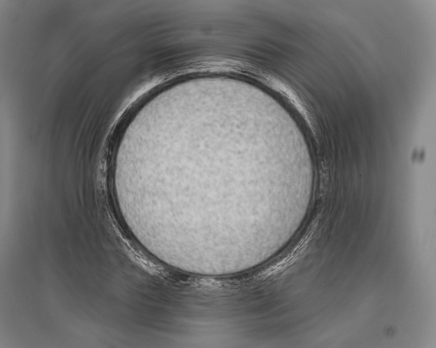 X0000096630827200803041102