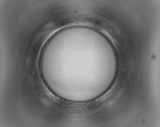 X0000096630828200803041102