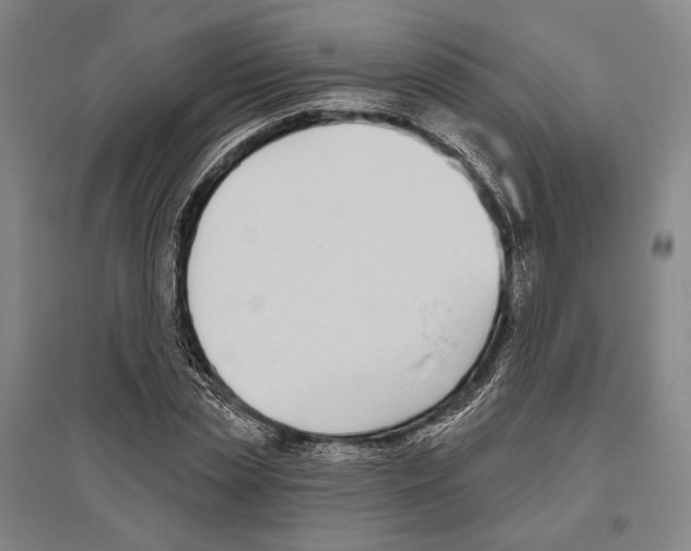 X0000096630829200803041102