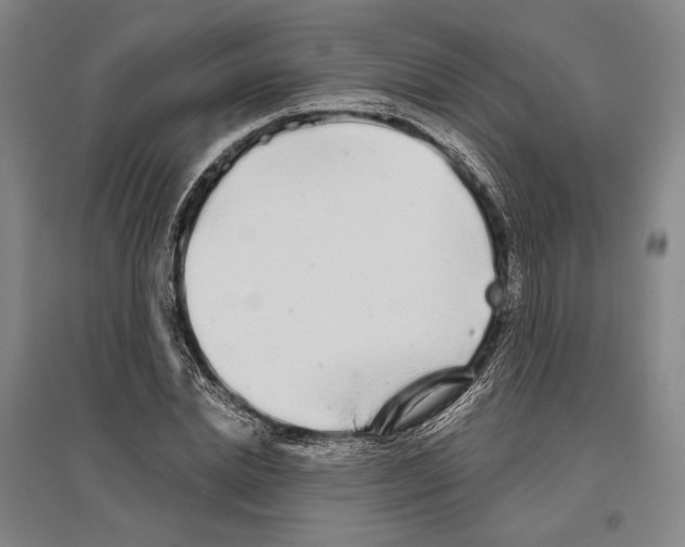 X0000096630830200803041102