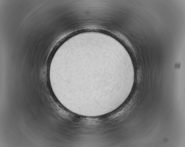 X0000096630831200803041102