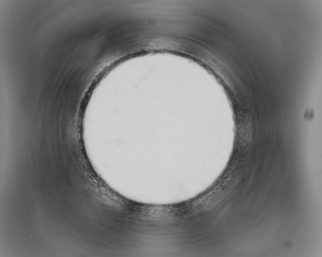 X0000096630832200803041102