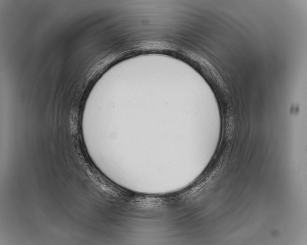 X0000096630833200803041102