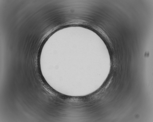 X0000096630834200803041102
