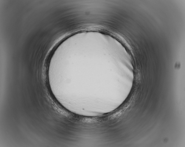 X0000096630835200803041102