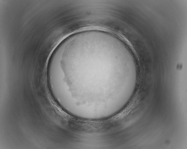 X0000096630836200803041102