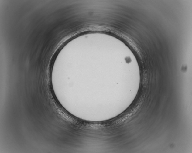 X0000096630837200803041102