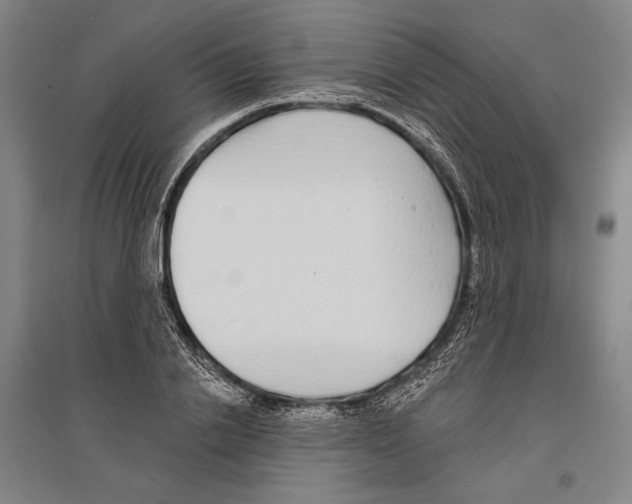 X0000096630838200803041102