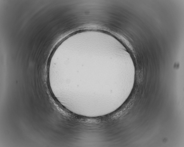 X0000096630839200803041102