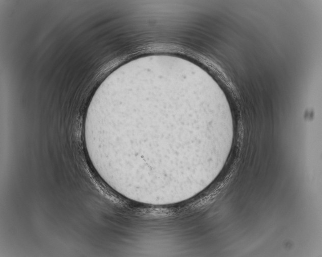 X0000096630841200803041102
