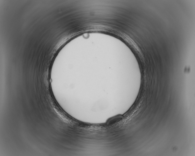 X0000096630842200803041102