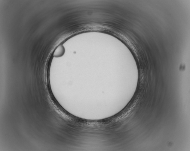 X0000096630843200803041102