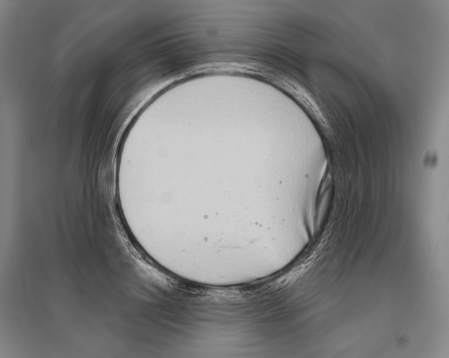 X0000096630844200803041102