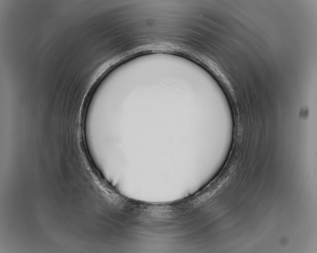 X0000096630845200803041102