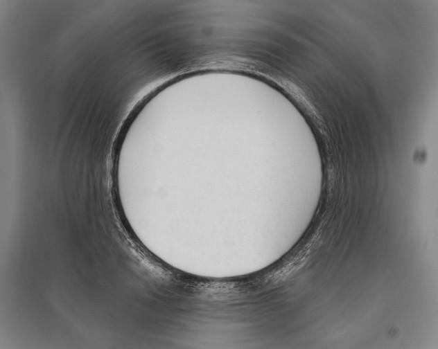 X0000096630846200803041102