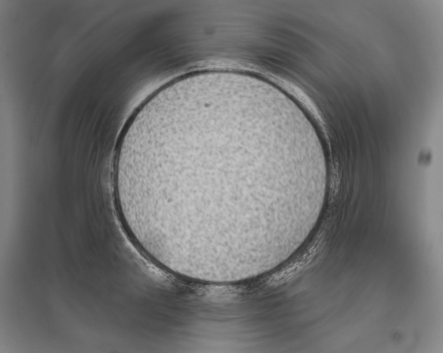 X0000096630847200803041102
