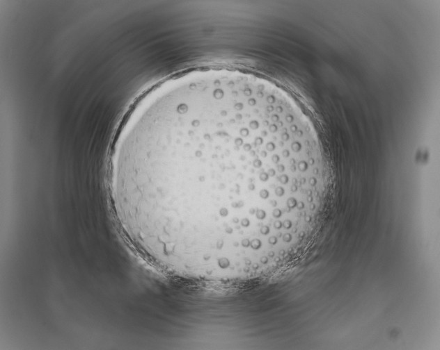 X0000096630848200803041102