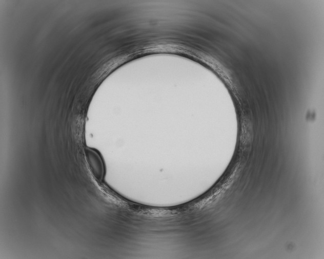 X0000096630849200803041102