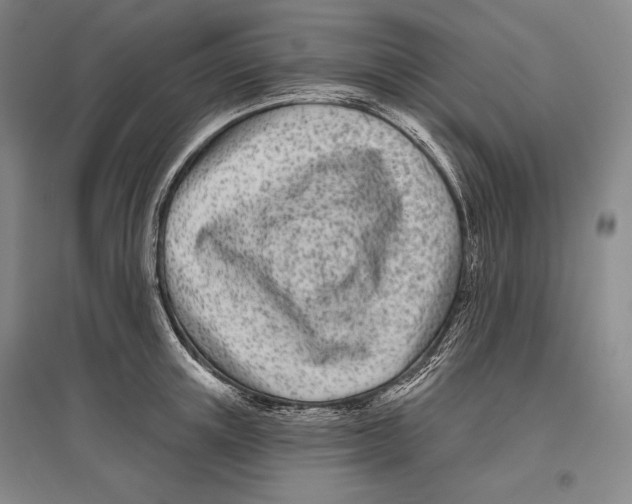 X0000096630851200803041102