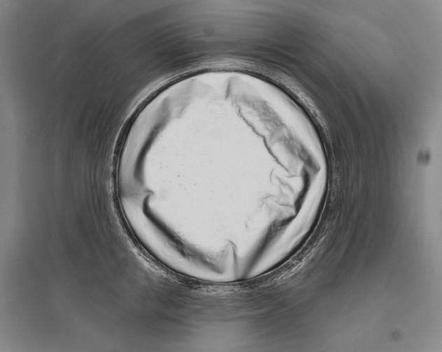 X0000096630853200803041102