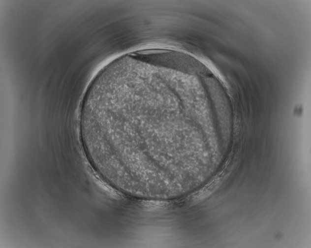 X0000096630854200803041102