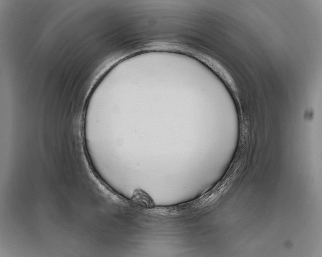 X0000096630855200803041102