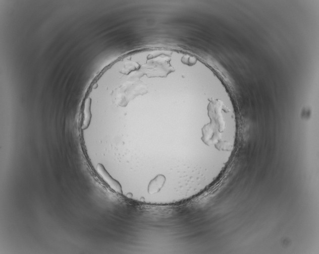 X0000096630856200803041102
