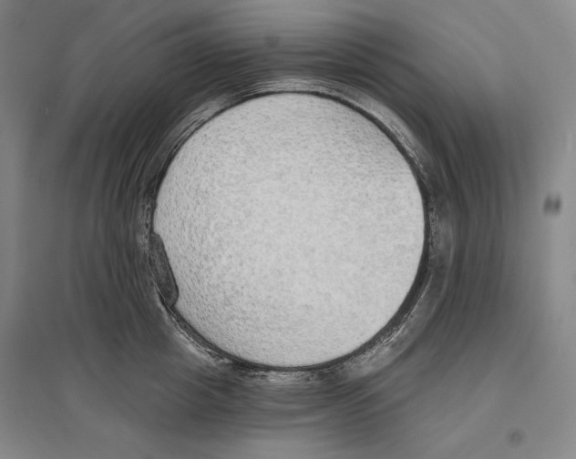 X0000096630857200803041102