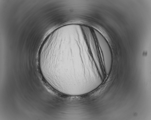 X0000096630858200803041102