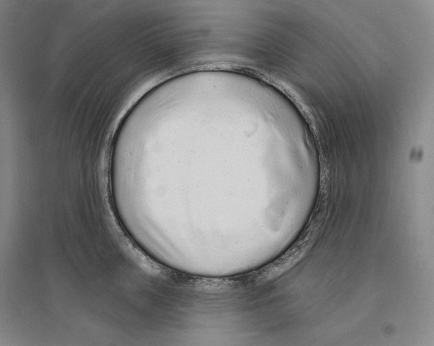 X0000096630859200803041102