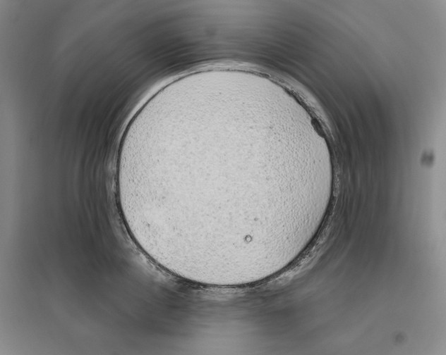 X0000096630860200803041102
