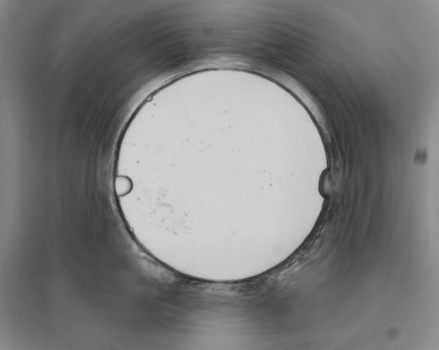 X0000096630861200803041102
