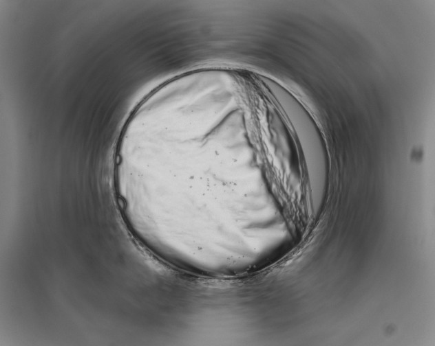 X0000096630862200803041103